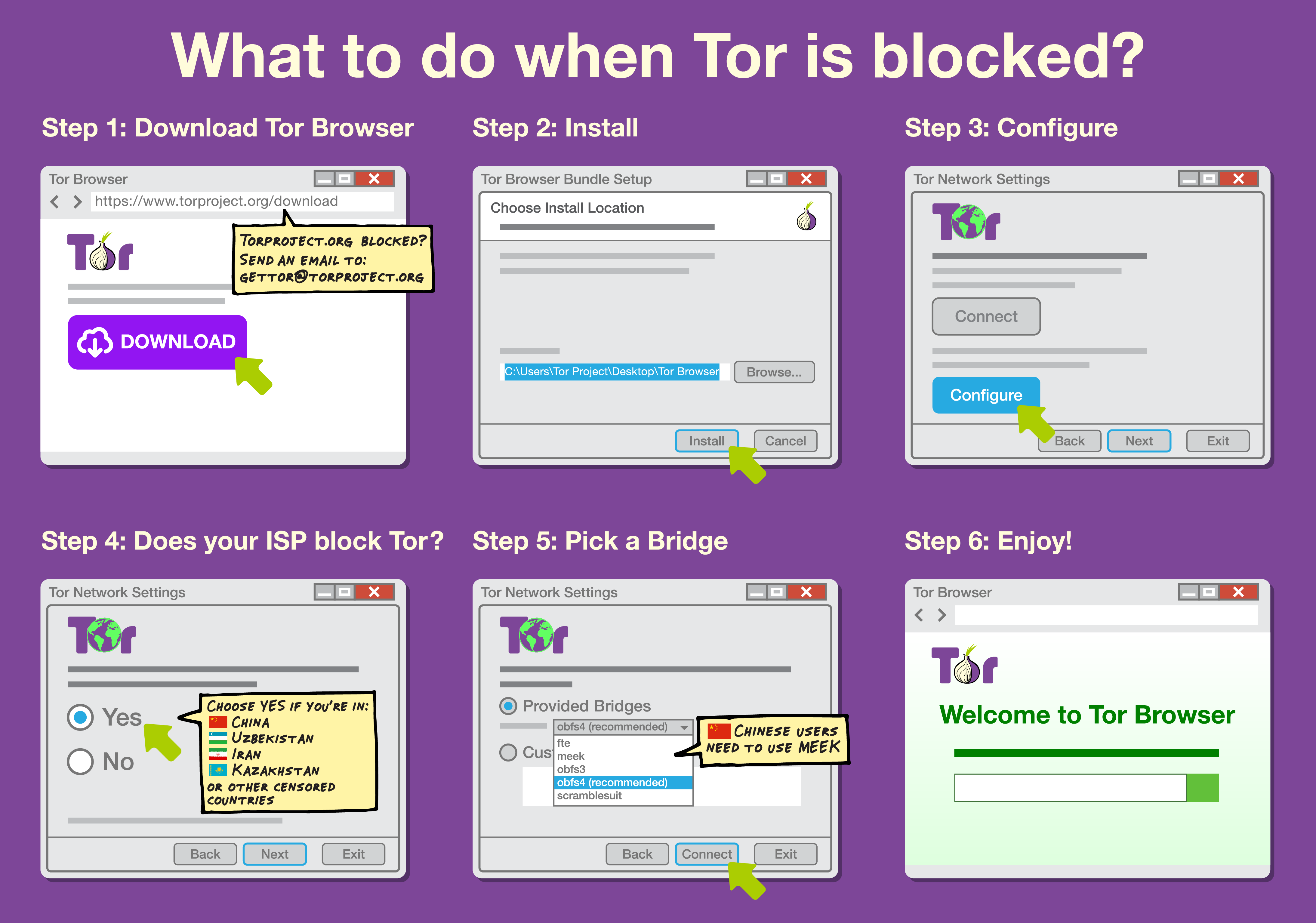 enable tor bridge